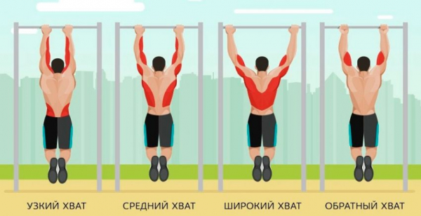 Подтягивания на перекладине