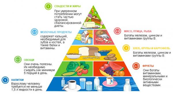 Как накачать грудь с помощью гантелей Как накачать грудь с помощью гантелей